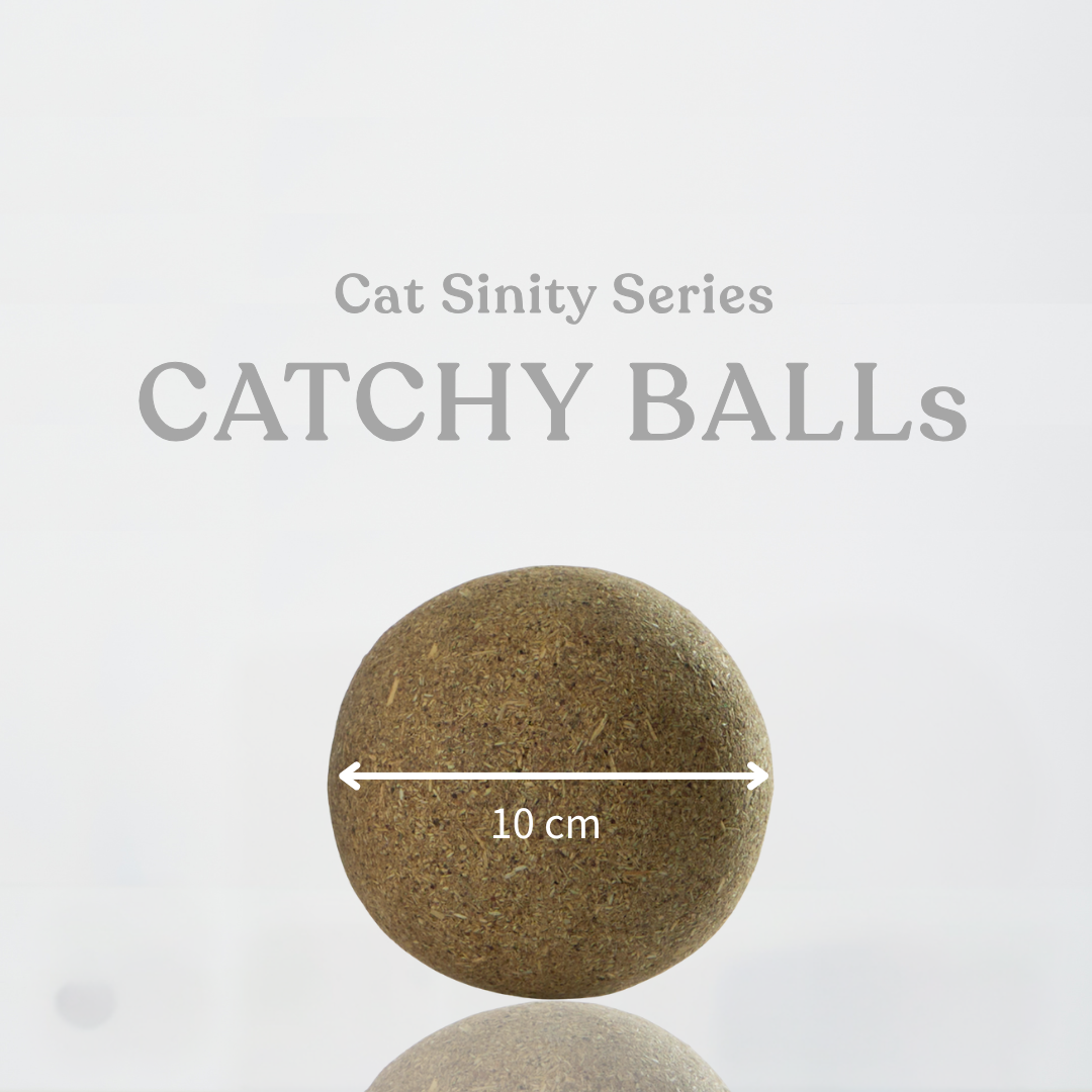 MEOWFY CATCHY BALL - FINICKY EDITION