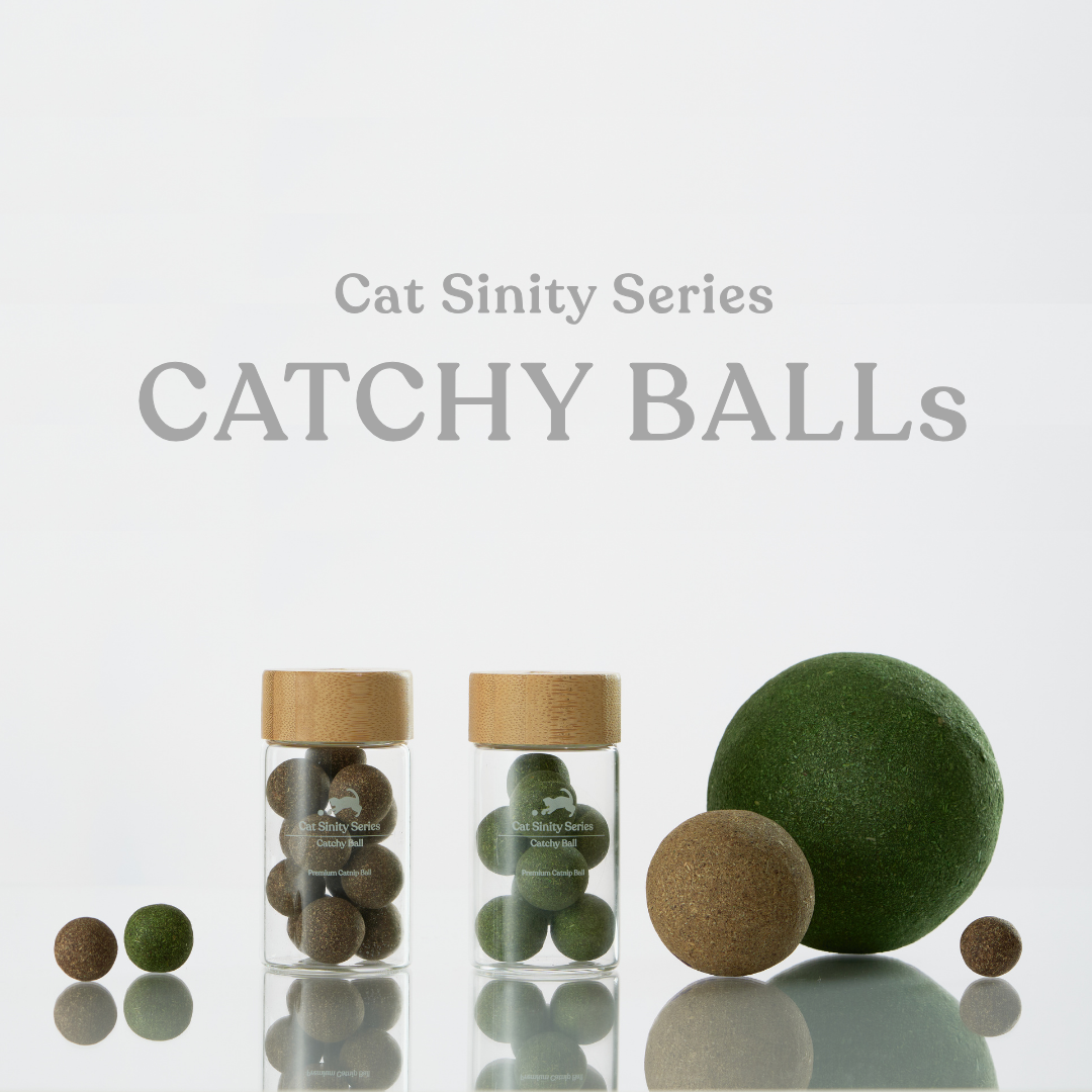 MEOWFY CATCHY BALL