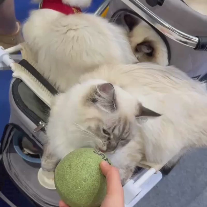 MEOWFY CATCHY BALL - FINICKY EDITION
